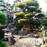 素敵な日本庭園２