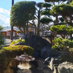 素敵な日本庭園３