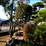 素敵な日本庭園１