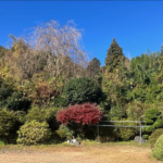 【売買・戸建】富士宮市　富士山望む八棟造の古民家 画像5