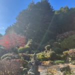 【売買・戸建】富士宮市　富士山望む八棟造の古民家 画像6